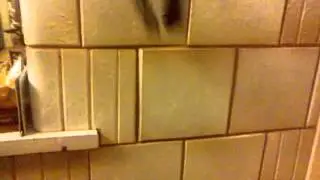 How to throw a phone into the wall