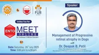 Management of Progressive retinal atrophy in Dogs