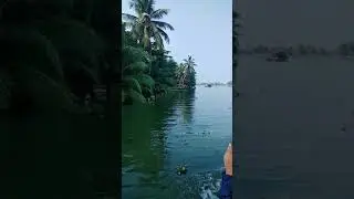 Nature video | viral video | kerala #kerala #tamil #southindia