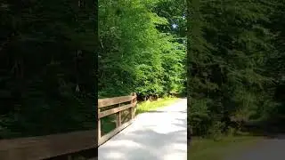 Crabtree Creek Trail extension - To Duraleigh Rd (New Suspension Bridge)