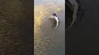 Fish catching process in fish fry pond