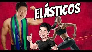 TREINO DE MUSCULA&Ccedil;&Atilde;O COM EL&Aacute;STICOS FUNCIONA?