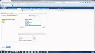 How to make a CUSTOM RESULTS form in MATRIX