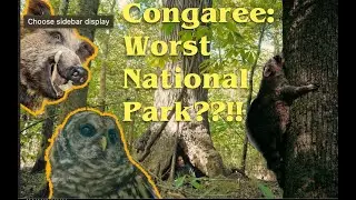 I Barefoot Hiked Congaree National Park, THIS is what Happened!!!