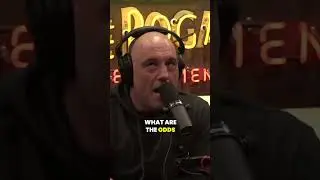 Inbreeding Dangers Rogan & Theo Von's Genetics Talk 🧬🚫