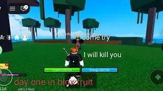 1 day in blox fruit as a pirat