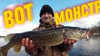 ОТБОРНЫЙ ОКУНЬ ТРОФЕЙНАЯ ЩУКА 2021-SELECTED PERCH TROPHY PIKE 2021