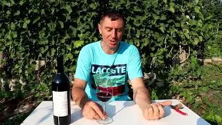 Дегустация МЕРЛО!!! 