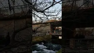 Ulm/Fischerviertel 2023