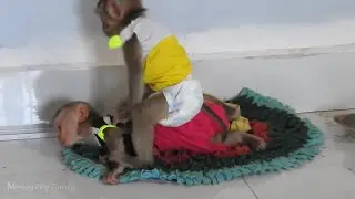 Oh MG!! Monkey Ploy Crying Angry Brother Take Her Bottle Milk To Drink