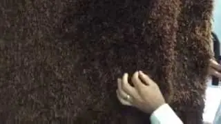Authentic Solid Brown Plush Shag Area Rug By Rug Addiction