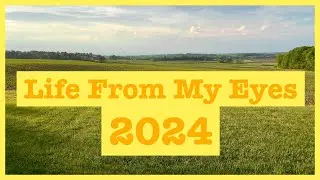 Life From My Eyes - 2024 1SE