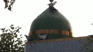 Allah Allah Bolay Feat  Faisal Butt | Jan Kashmiri | Arfana Kalam