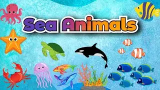 Sea animals for Kids | Explore the Ocean| Learn Sea Names | English vocabulary