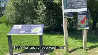How We Fought Pest Plants in Waiatarua Wetland Reserve | Auckland | New Zealand | @DE&AElig;R-Research