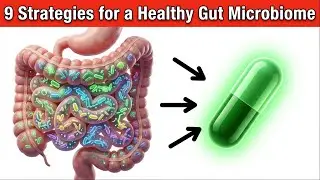 9 STRATEIES FOR A HEALTHY GUT MICROBIOME