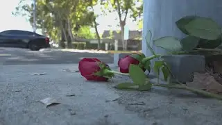 Trick-or-treaters in critical condition after being hit by car in Tracy