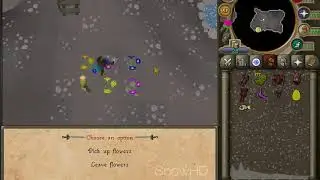 Viceversa scamming SnowHD