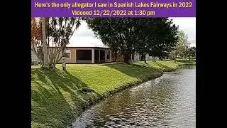 Gator in SLF 12-22-2022