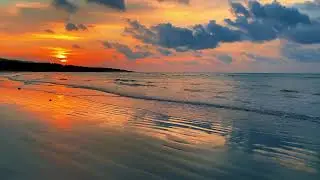 Ocean Bliss ASMR 🌊 | Soothing Coastal Waves for Relaxation & Study Focus