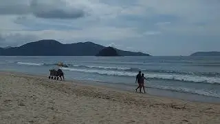 UBATUBA -SAPE SURF REPORTER #205 20/11/2024 AS 10hs