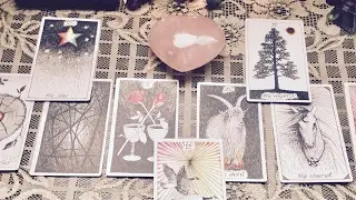Taurus Love Tarot Reading for June 2017