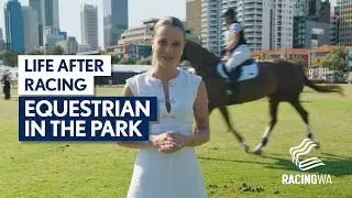Life After Racing: Thoroughbreds Thriving at Equestrian in the Park