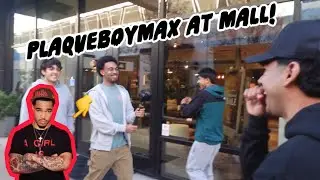 Nene vlogs (we met plaqueboymax at the mall) CRAZY!
