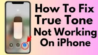 How To Fix True Tone Not Working On iPhone iOS 17 (2024)