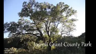 772 - Joseph Grant County Park
