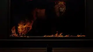 VENUS [LION] Video Teaser