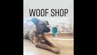 Que es la PET CARE CUP??
