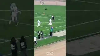 Bunchie Young 41yard TD vs. Villa Park
