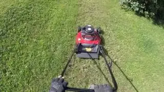 Lawn Maintenance