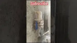 sheep🐑 #farm #longtail #sheep  #animalshorts #feedshorts #viral #trending #youtubeshorts