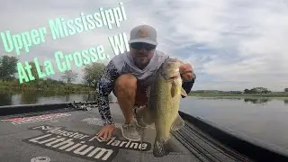 Low water and lots of bass on the Upper Mississippi River at La Crosse, WI