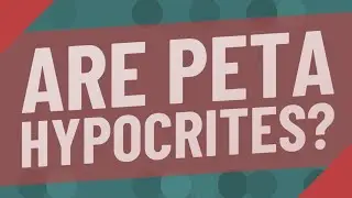 Are PETA hypocrites?
