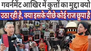 Stray dogs: Why is the government raising the issue of dogs, is there any secret behind it?