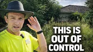 The House Disappeared Behind This Jungle!