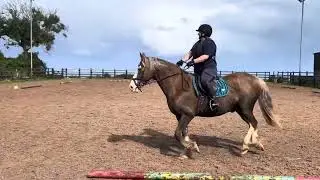 Gemma nicholl flash prelim7 dressage addict.