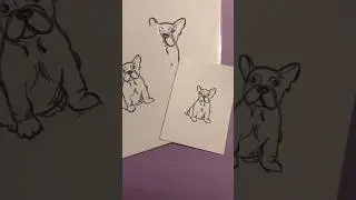 French Bulldog Line Art 🐾