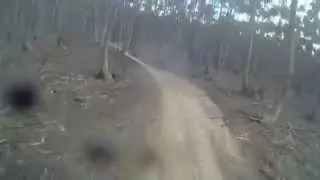 Track 15 at the you yangs. Chainsaw track