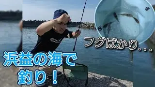 KIDの海釣り【石狩市浜益区（幌地区）】釣れるのフグばかり...🎣🐡