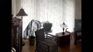 Houses for Sale Royal Oak MI | Huron & Alexander 48067| Mike Dundon Real Estate 248-885-2775