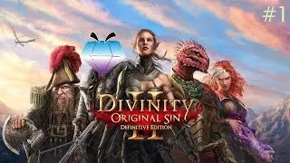 JoeDiamond Plays | Divinity: Original Sin II Gameplay | Let's Play #1