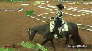 2017 AQHA Senior Trail