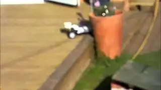 RC manta ray-Fast flight