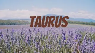 Zodiak Taurus Februari 2026