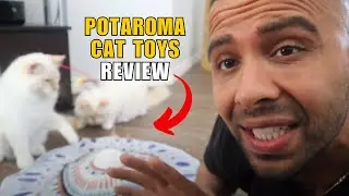Potaroma Ultimate 3-N-1 Cat Toy for Bored Cats,  Home Alone, Keep Them Busy!