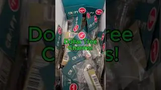 CUTE Dollar Tree Charms for Crafts and Jewelry Making! #dollartree #crafts #charms #jewelrymaking